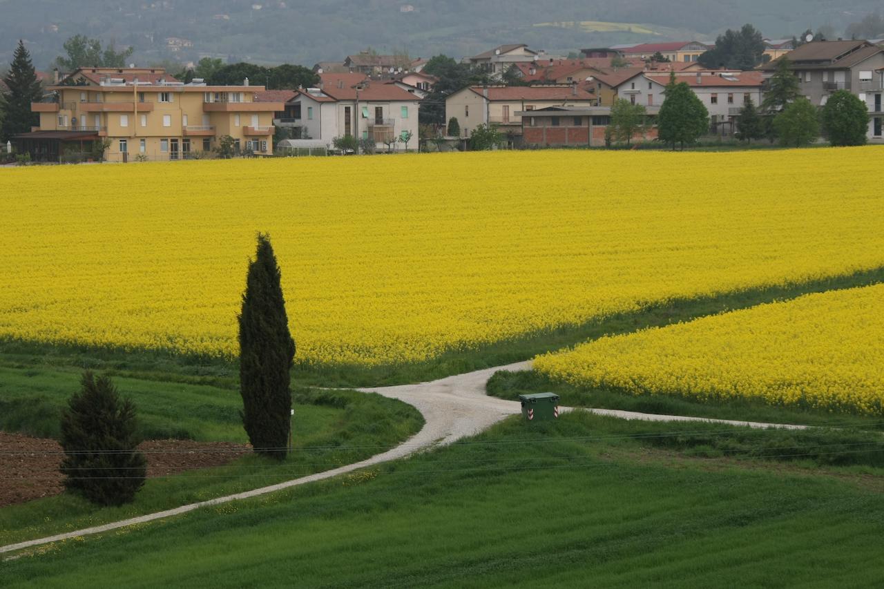 Bed and Breakfast Palazzo Santinelli SantʼAngelo in Vado Exteriér fotografie